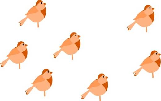 1383-pajaros.jpg