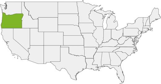 142-estados-en-los-estados-unidos-39.jpg