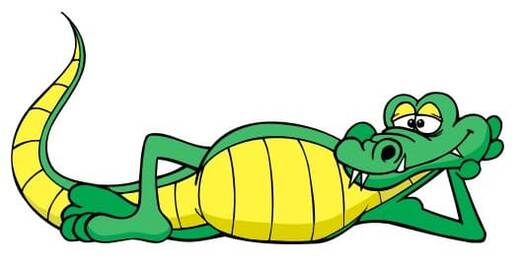 1424-alligator.jpg