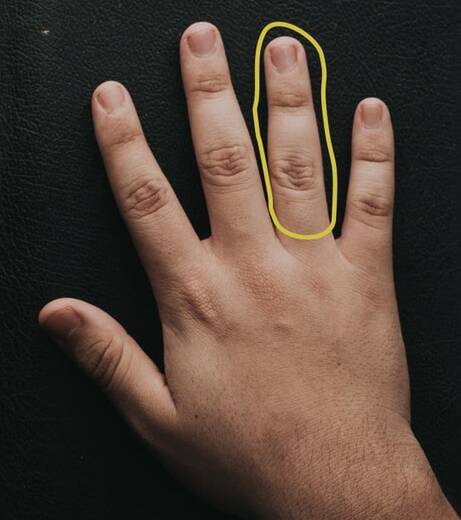 1571-mano-y-dedos-2.jpg