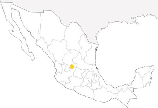3-estado-de-mexico-12.jpg