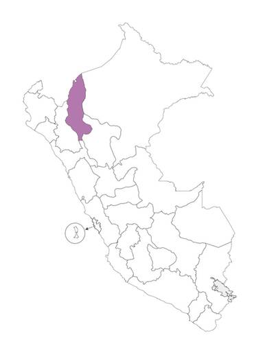 300-departamento-peru-1.jpg