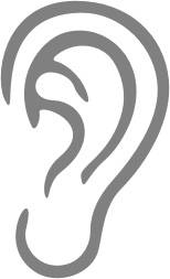 368-oreja.jpg