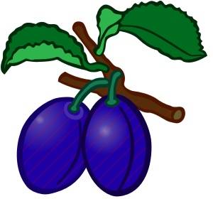 402-frutas-en-ingles-3.jpg