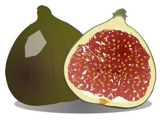 405-frutas-en-ingles-7.jpg