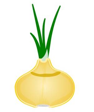 457-vegetales-en-ingles-2.jpg
