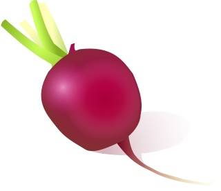 466-vegetales-en-ingles-intermedio-5.jpg