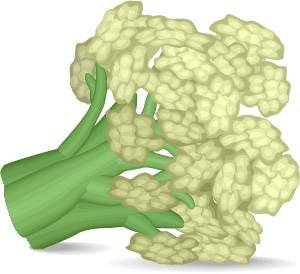 467-vegetales-en-ingles-intermedio-6.jpg
