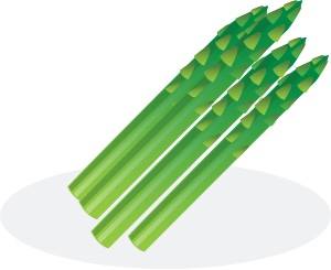 469-vegetales-en-ingles-intermedio-10.jpg