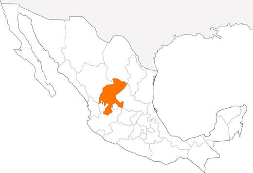49-estado-de-mexico-8.jpg