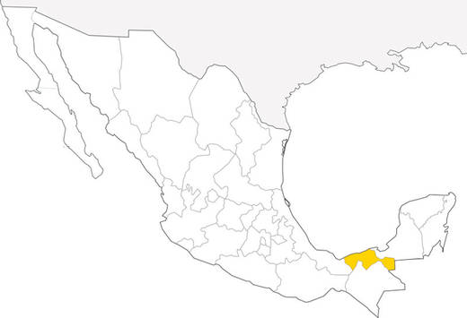 76-estado-de-mexico-28.jpg