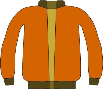 779-ropa-y-prenda-de-vestir-8.jpg