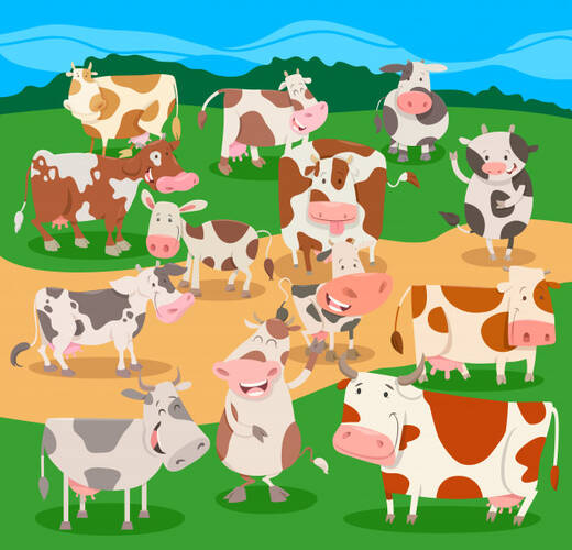 798-vacas.jpg